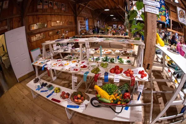 Ribbon-winning vegetable entries displayed inside the Ag Hall