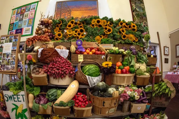 Sunflower and prize produce display inside the Ag Hall