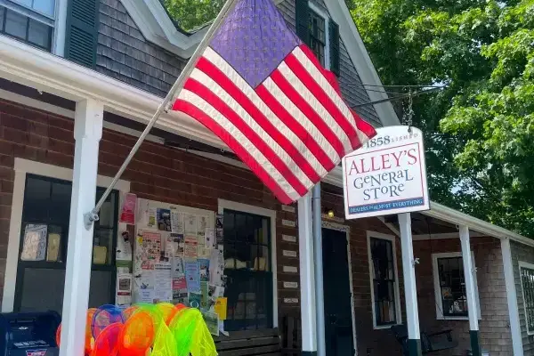 West Tisbury, Martha's Vineyard: The Complete Town Guide (2026)