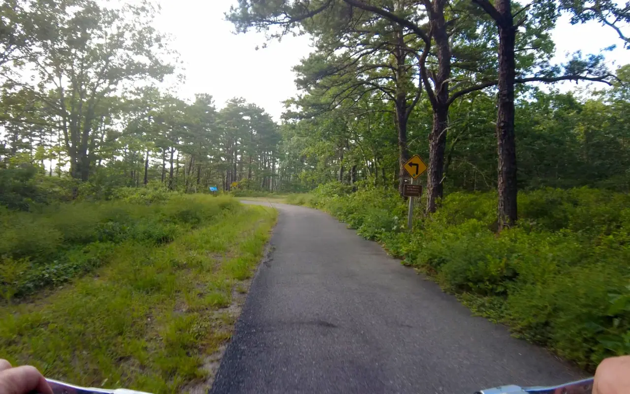 A paved bike path curving left through oak and pine woods on Martha’s Vineyard