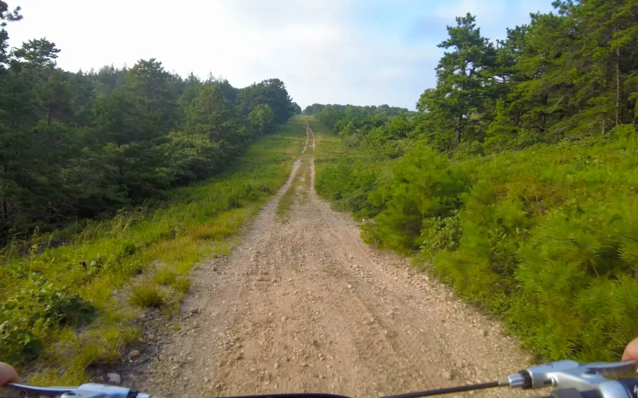 A gravel double-track climbing through scrub and pines