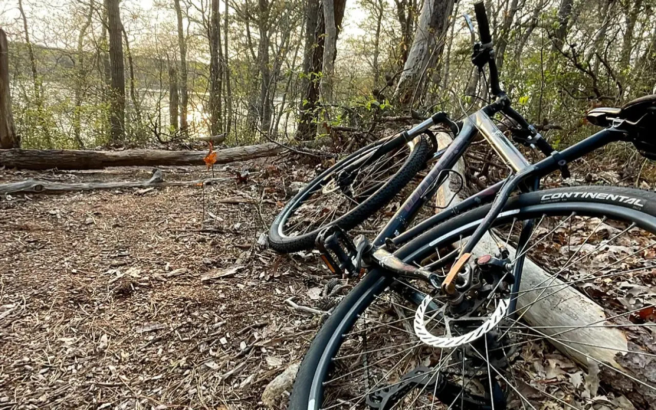 A bicycle lying on leaf litter at the edge of a wooded trail with a pond beyond the trees