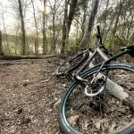 Martha's Vineyard Bike Routes and Cycling Guide (2026)