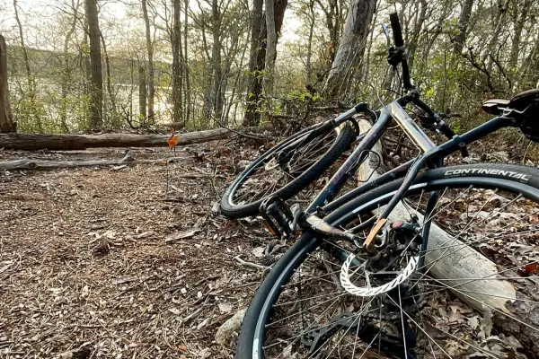 Martha's Vineyard Bike Routes & Cycling Guide (2026)