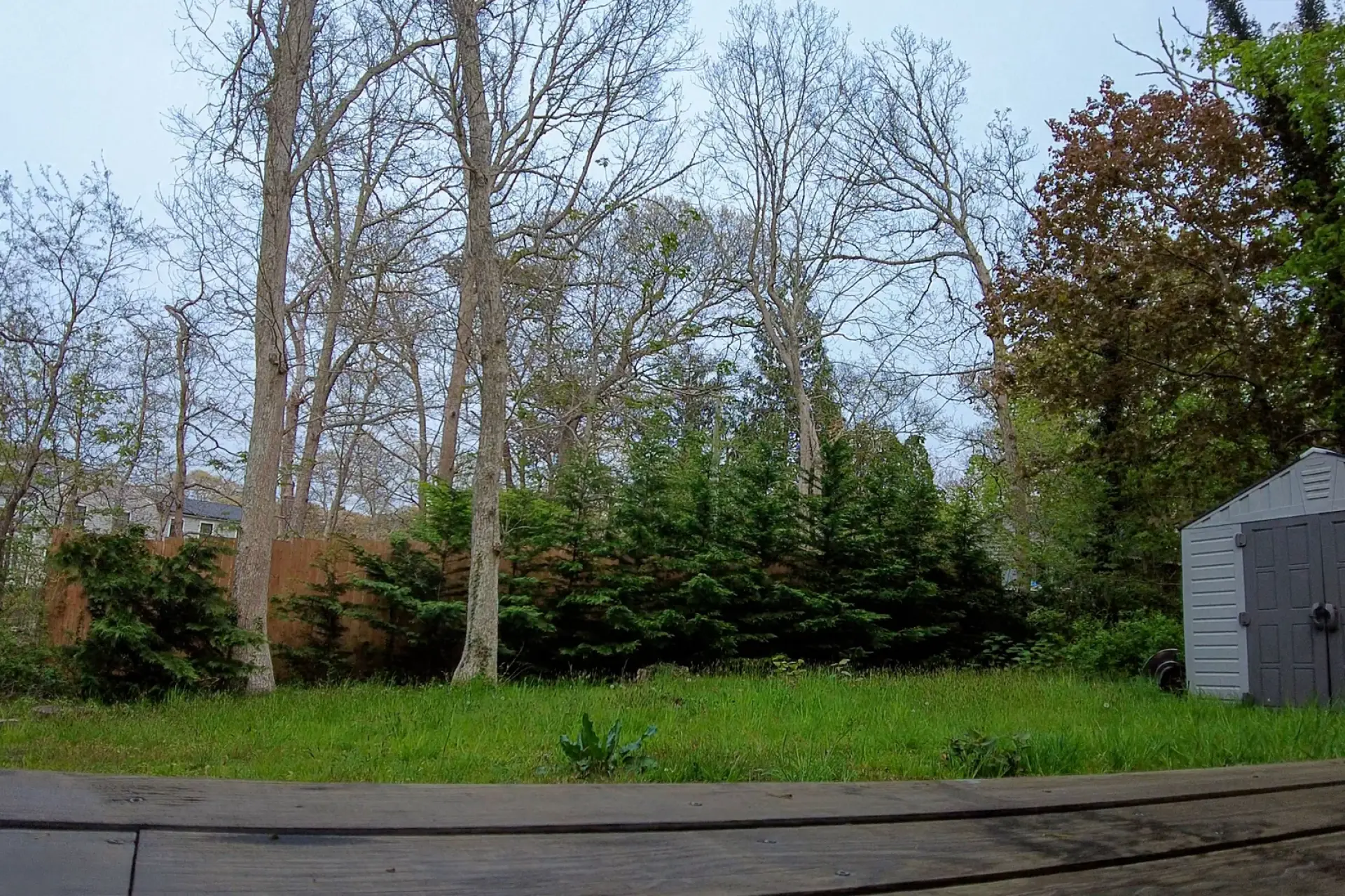 Martha's Vineyard Photo Slideshow and Ambient Audio Birds Singing