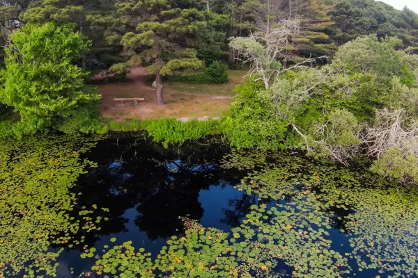 Blackwater Pond from the air