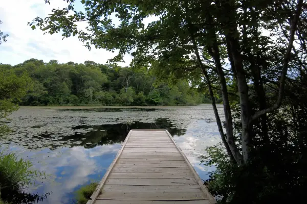 The dock at Blackwater Pond