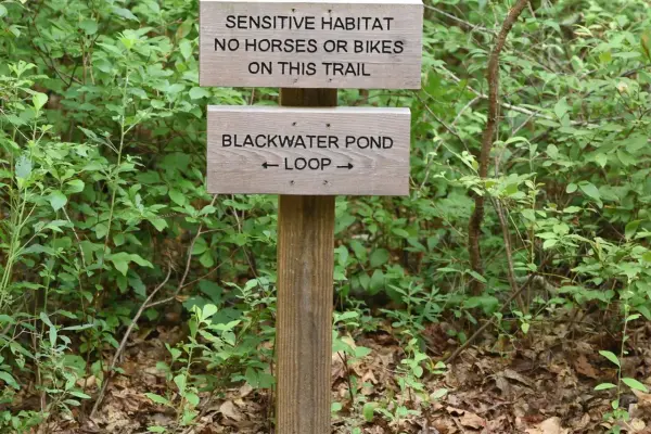 The Blackwater Pond Loop trail sign