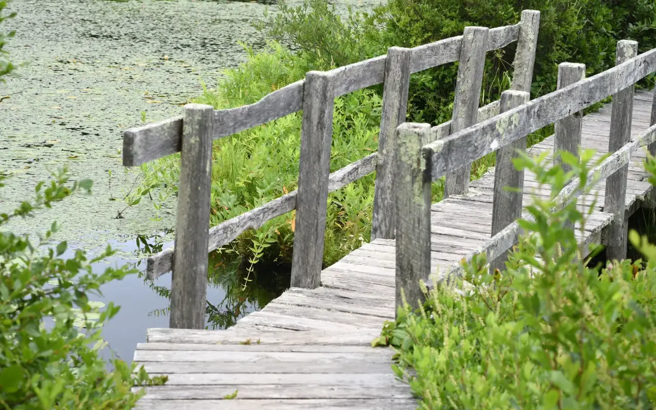 The footbridge on the Land Bank loop off Lambert's Cove Road.