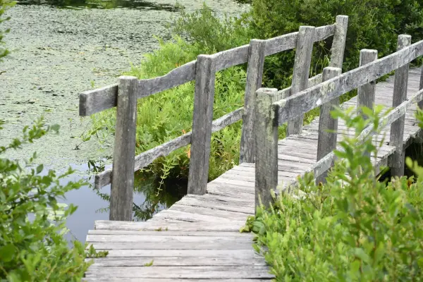The wooden footbridge at Blackwater Pond