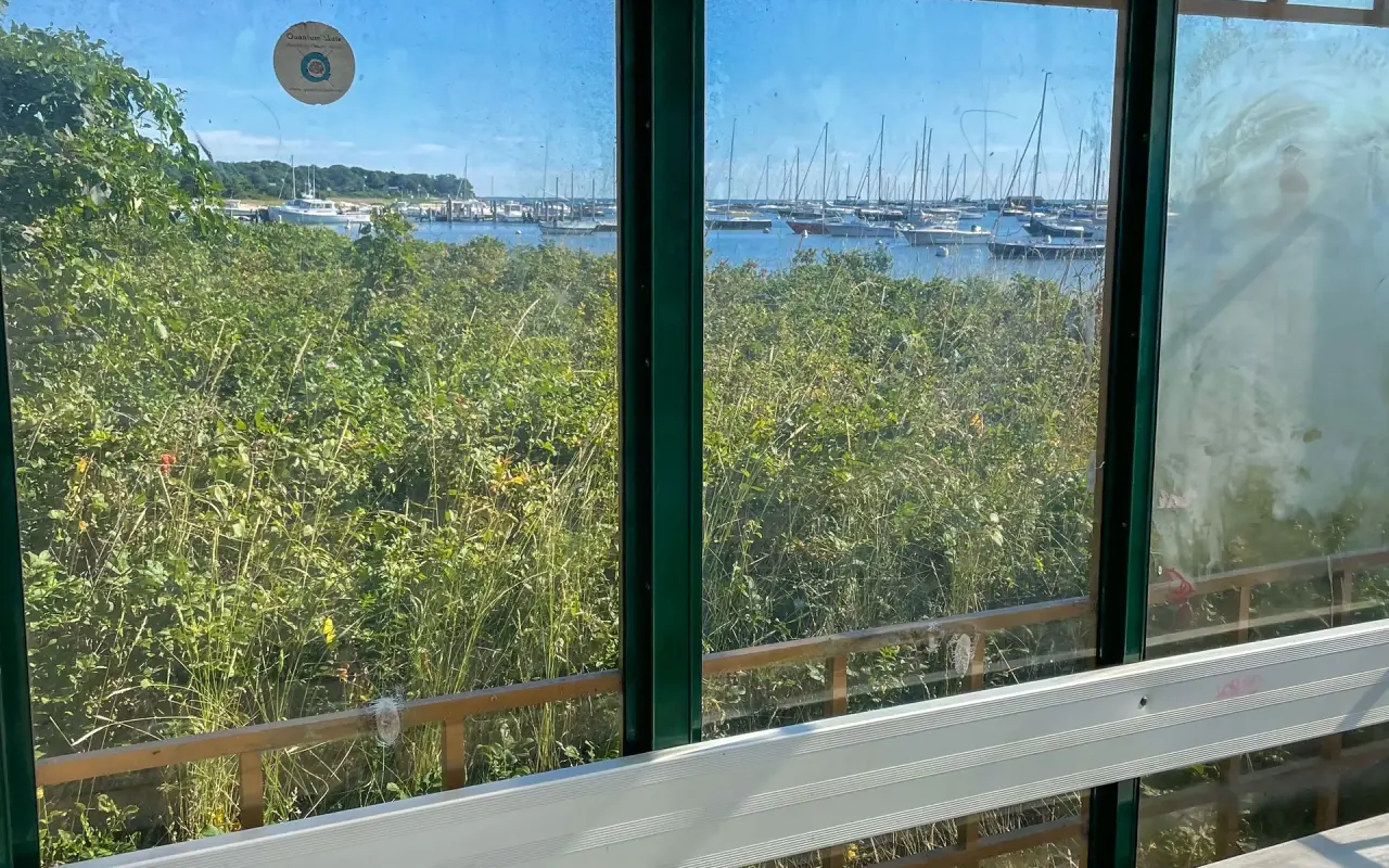 The view through the glass of a bus shelter at the Vineyard Haven ferry terminal toward reeds, moored sailboats and the harbor