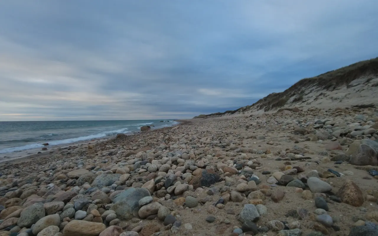 Rocky cobble beach below a grassy dune at Cedar Tree Neck under an overcast sky
