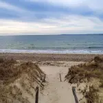 Cedar Tree Neck Sanctuary, West Tisbury