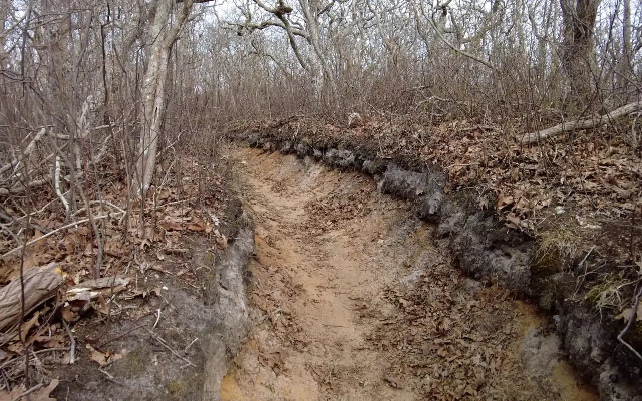 Walking trails at Cedar Tree Neck Sanctuary on Martha's Vineyard