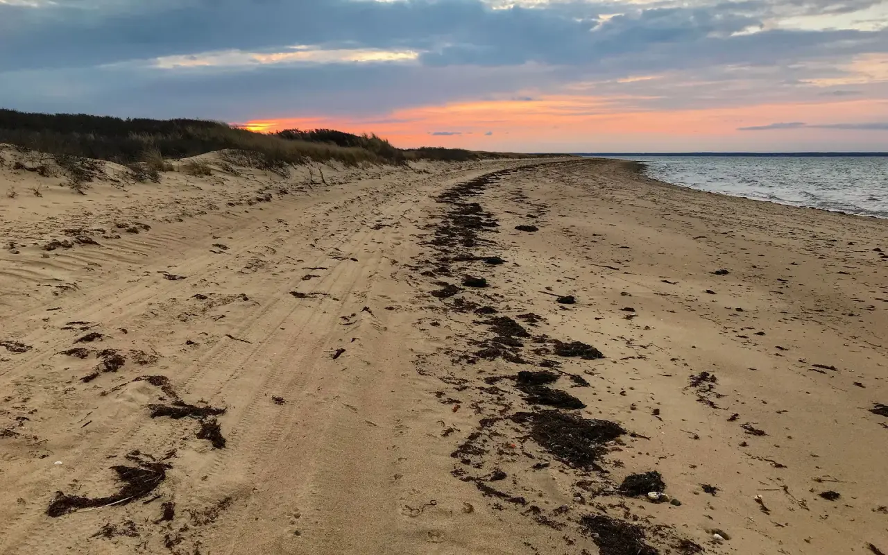 Sand path over the dunes to East Beach on Chappaquiddick at dusk