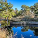 Chappaquiddick Day Trip Guide: Martha's Vineyard's Wild Island (2026)