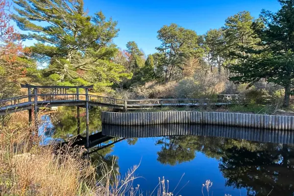 Chappaquiddick Day Trip Guide: Martha's Vineyard's Wild Island (2026)