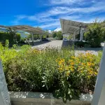 EV Charging on Martha's Vineyard: Every Public Charger, Town by Town, the Ferry Rules and How to Run an Electric Week (2026)