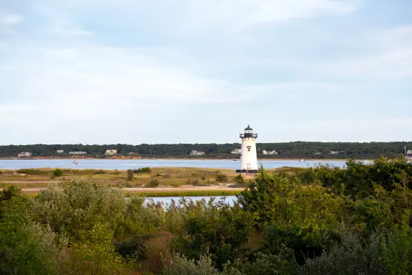Edgartown Lighthouse seen across dunes and marsh