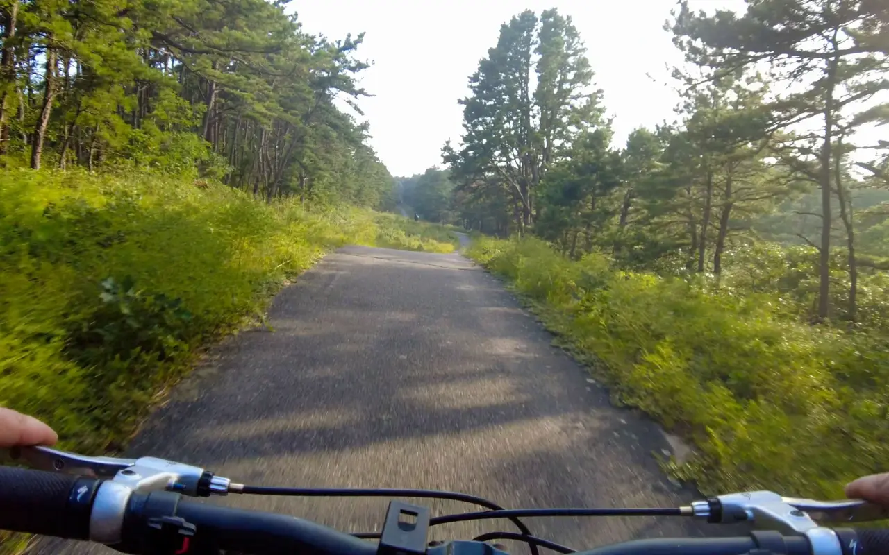 Handlebar view of a paved bike path descending through pine woods