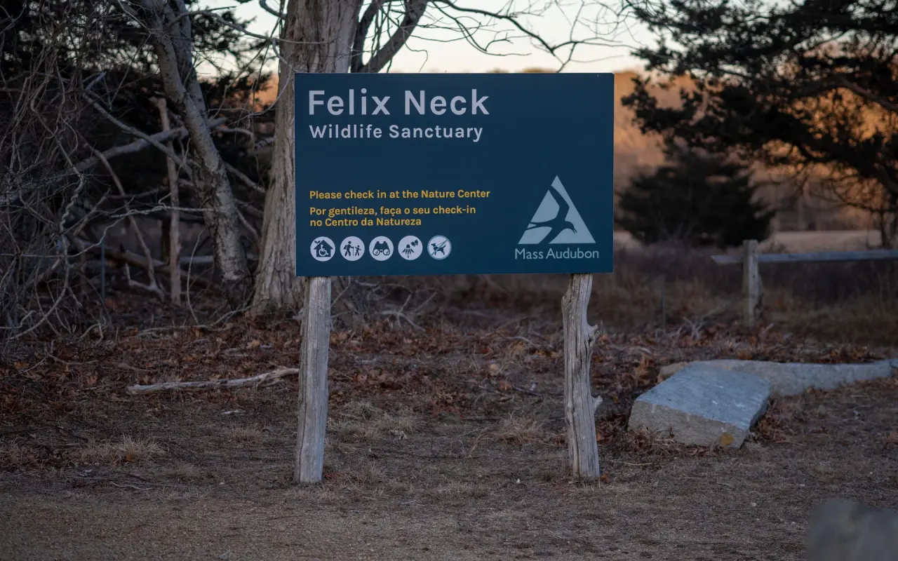Felix Neck Wildlife Sanctuary, a family-friendly nature destination