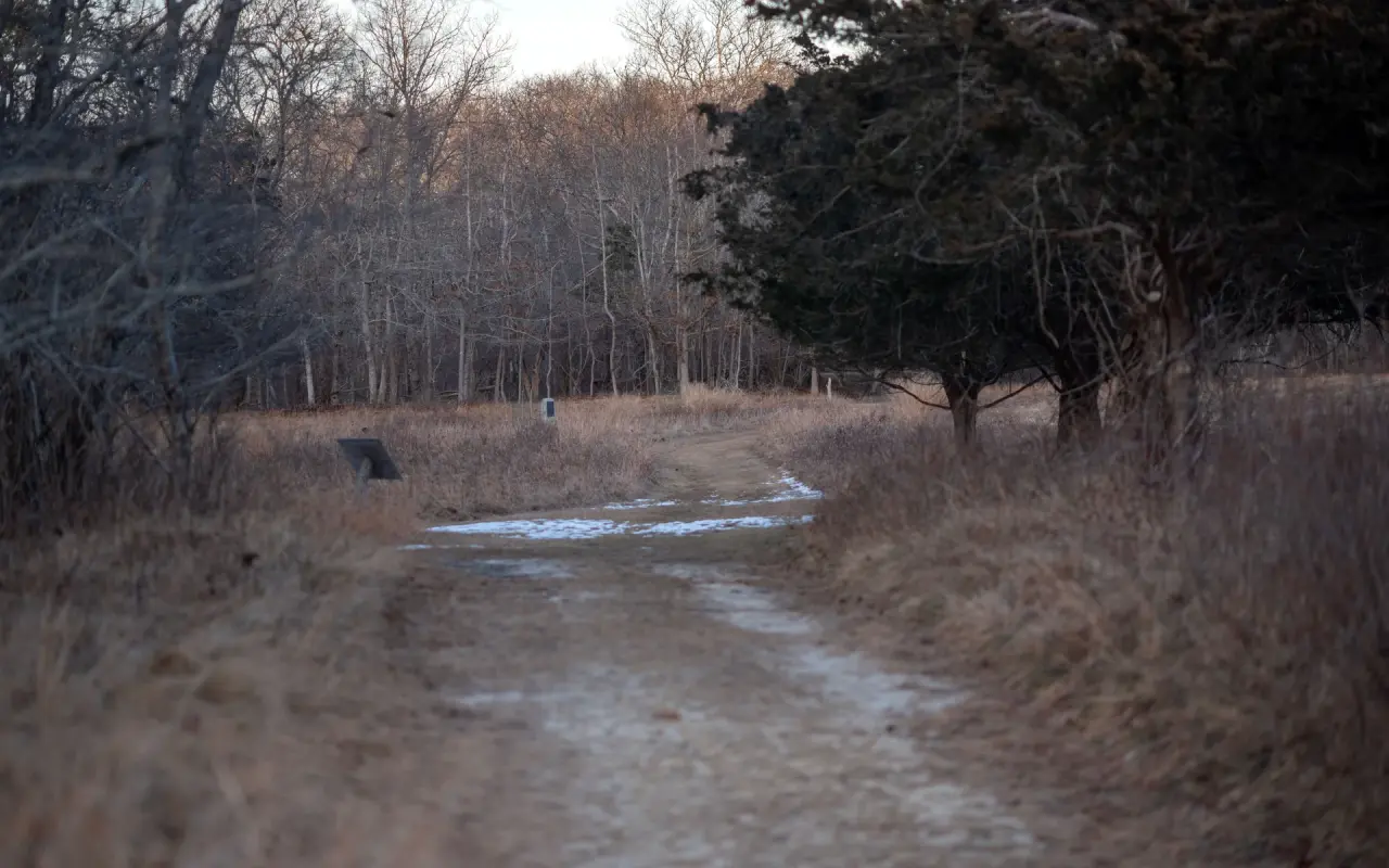 Felix Neck Wildlife Sanctuary on Martha’s Vineyard