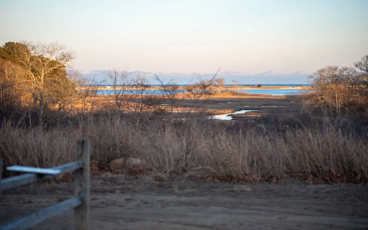 Winter view over the salt marsh toward Sengekontacket Pond at Felix Neck