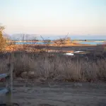 Shellfishing on Martha's Vineyard: Visitor Permits, Scallop Season and Limits, Town by Town (2026)