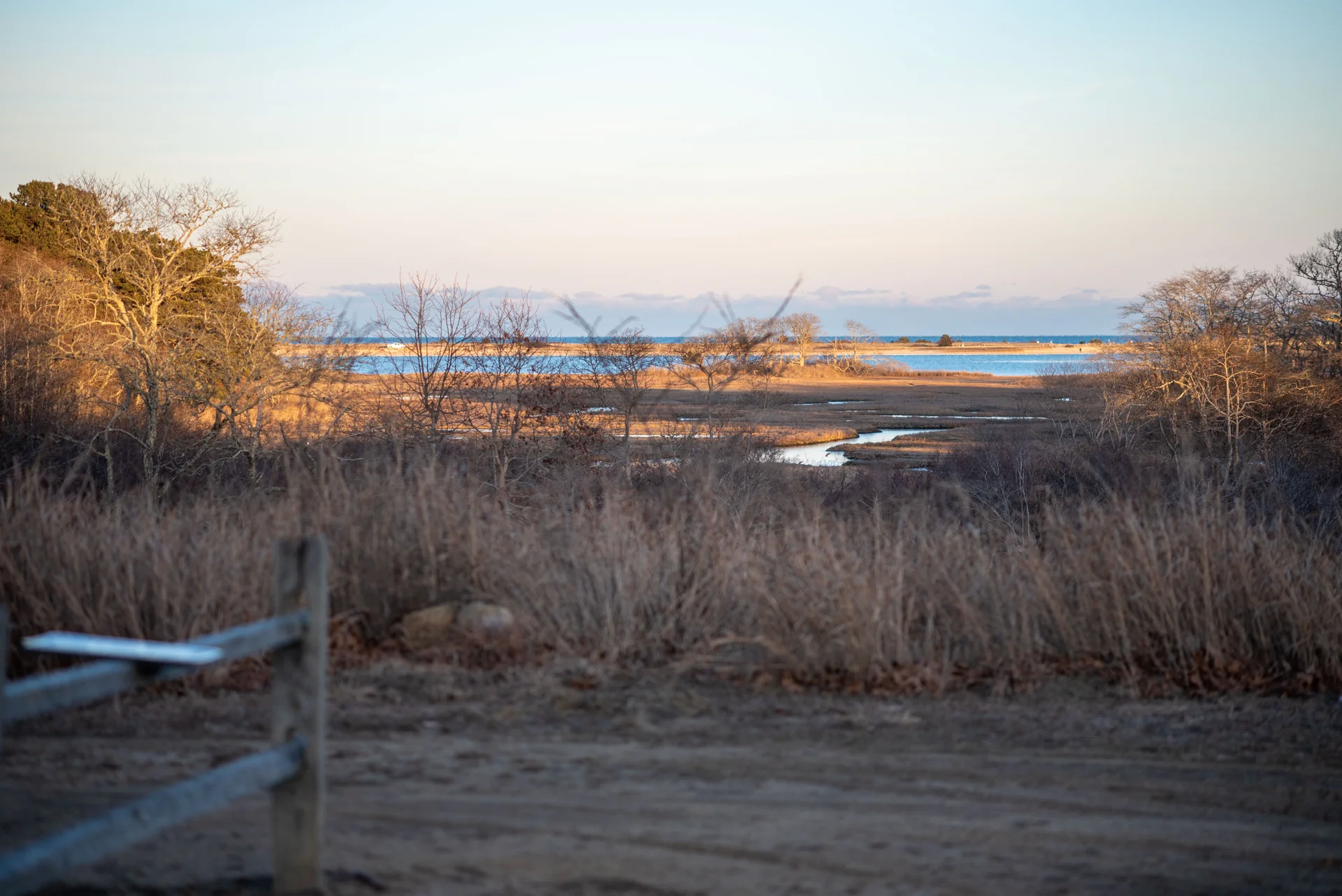 Winter view over the marsh toward Sengekontacket Pond, Felix Neck