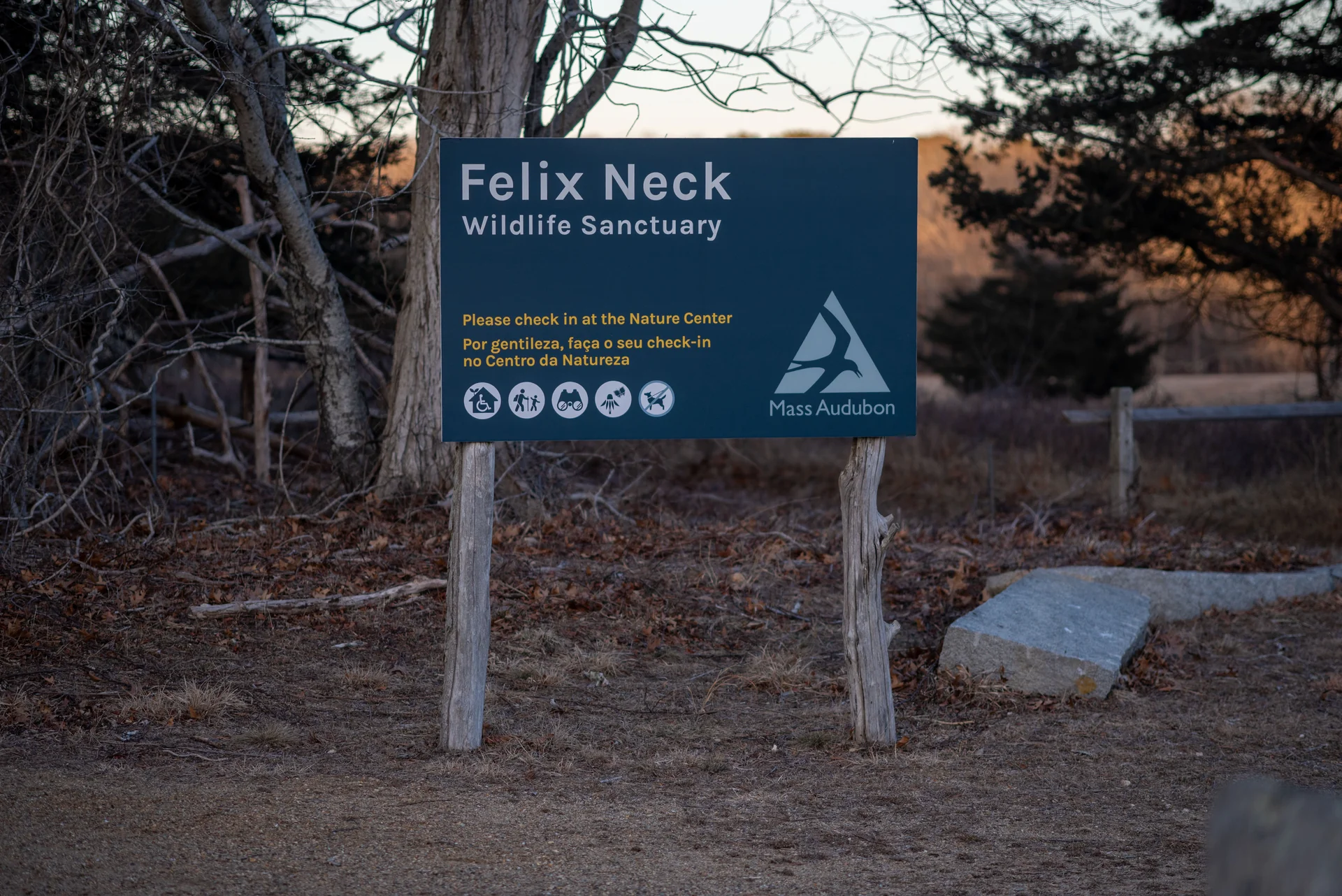 Felix Neck Wildlife Sanctuary, a family-friendly nature destination
