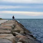 Martha's Vineyard Fishing Guide: Derby, Shore Spots, Charters and Fly Fishing (2026)