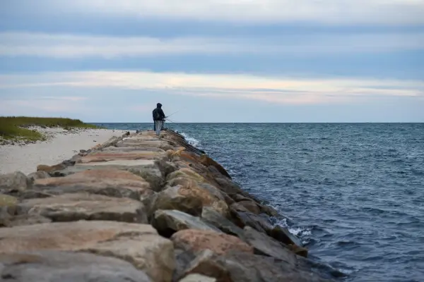 The Martha's Vineyard Derby: A Visitor's Guide to the 81st Striped Bass & Bluefish Derby (2026)