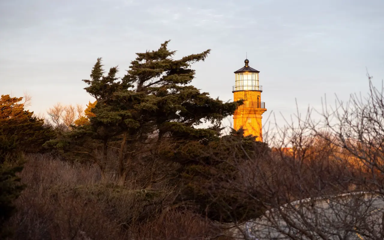 Gay Head Lighthouse in warm December light behind wind-bent trees