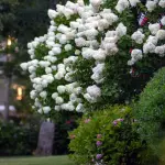 Martha's Vineyard in Spring: The Complete April and May Guide (2026)