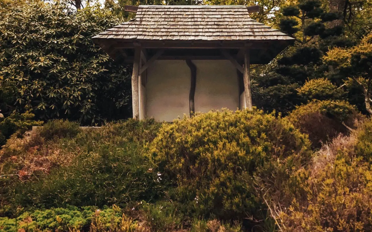 Open wooden shelter among autumn colours at Mytoi Garden
