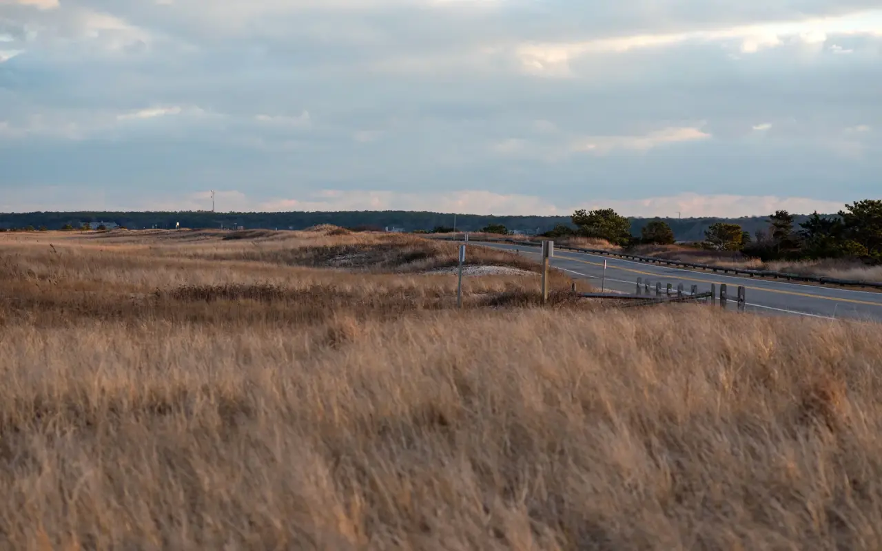 Dune grass and empty sand at Joseph Sylvia State Beach in December