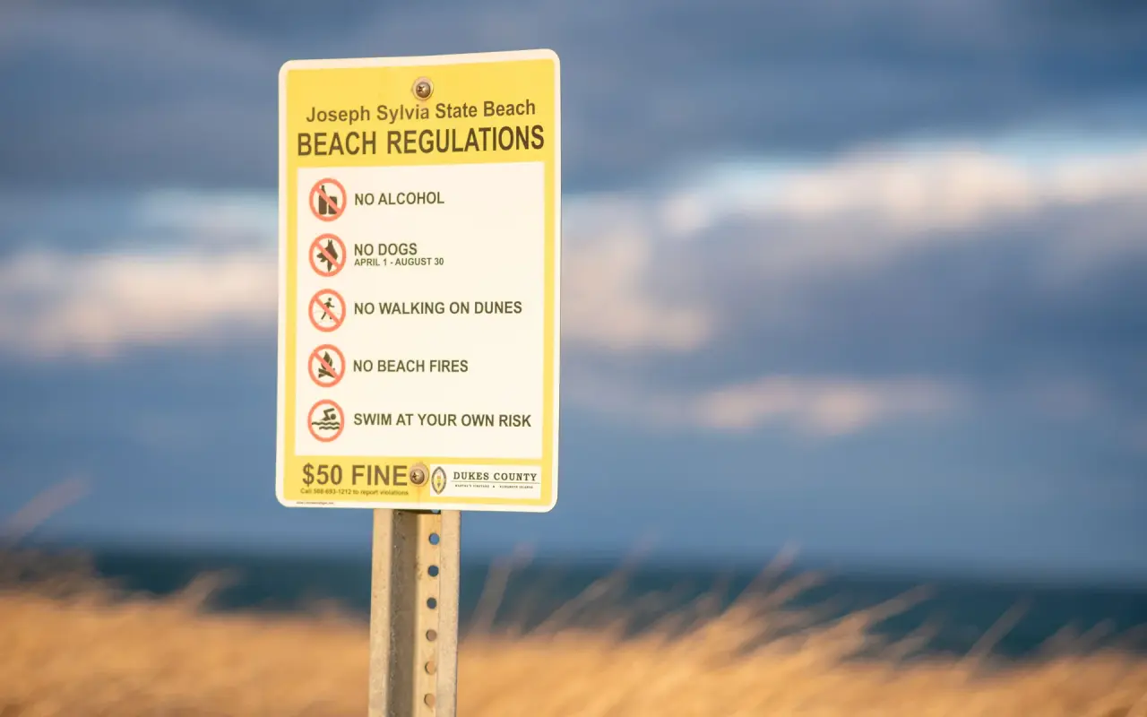 Yellow Dukes County beach regulations sign at Joseph Sylvia State Beach, Oak Bluffs, with dune grass and a stormy sky behind it
