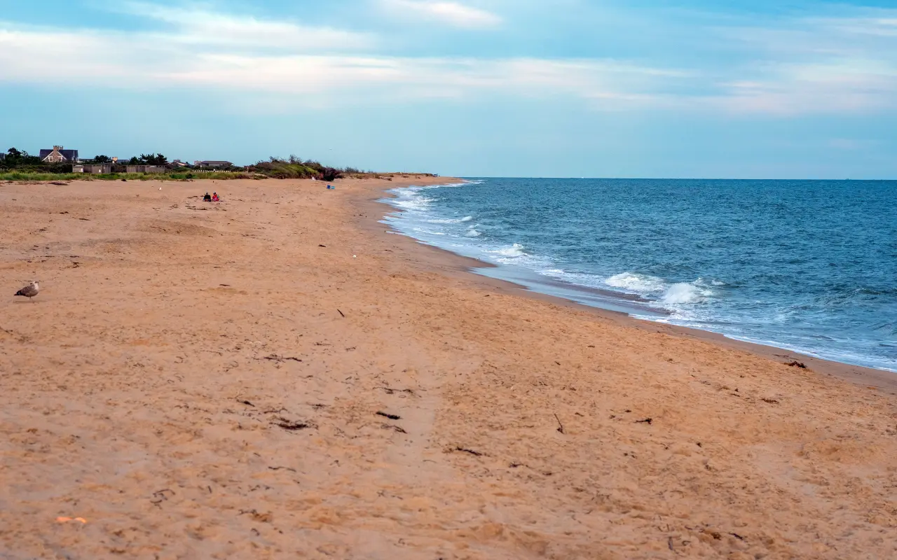 Katama South Beach with pristine sand and clear Atlantic Ocean water