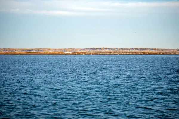 Snow-dusted barrier dunes across the water at Katama