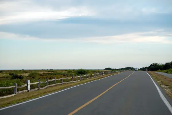 Split-rail fence lining the straight road across the Katama plains