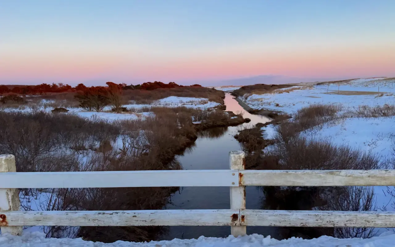 The dunes at Katama on Martha’s Vineyard