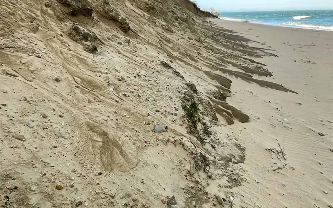 Wind-carved sand dune face beside the surf at South Beach in Katama