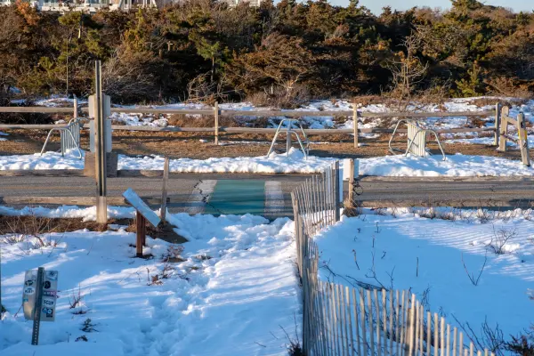 Snow-covered bike racks and dune fence at Katama