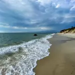 Pet-Friendly Martha's Vineyard: Dog Beaches, Restaurants and Lodging Guide (2026)