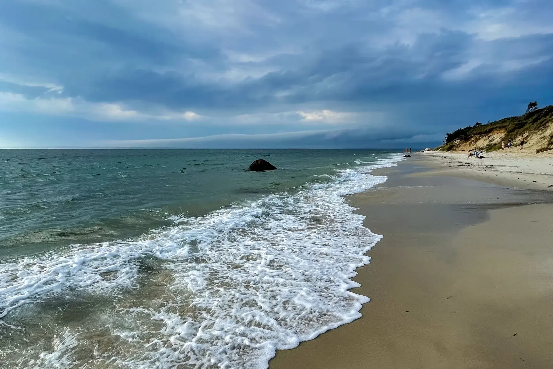 Pet-Friendly Martha's Vineyard: Dog Beaches, Restaurants & Lodging Guide (2026)