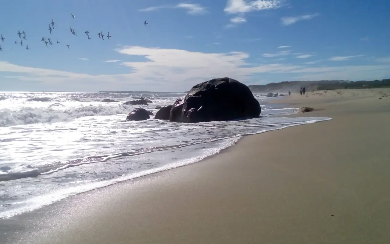 A single dark boulder in the surf on a nearly empty Lucy Vincent Beach, shorebirds flying overhead and two walkers in the distance