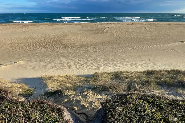 The dune line meeting the Atlantic