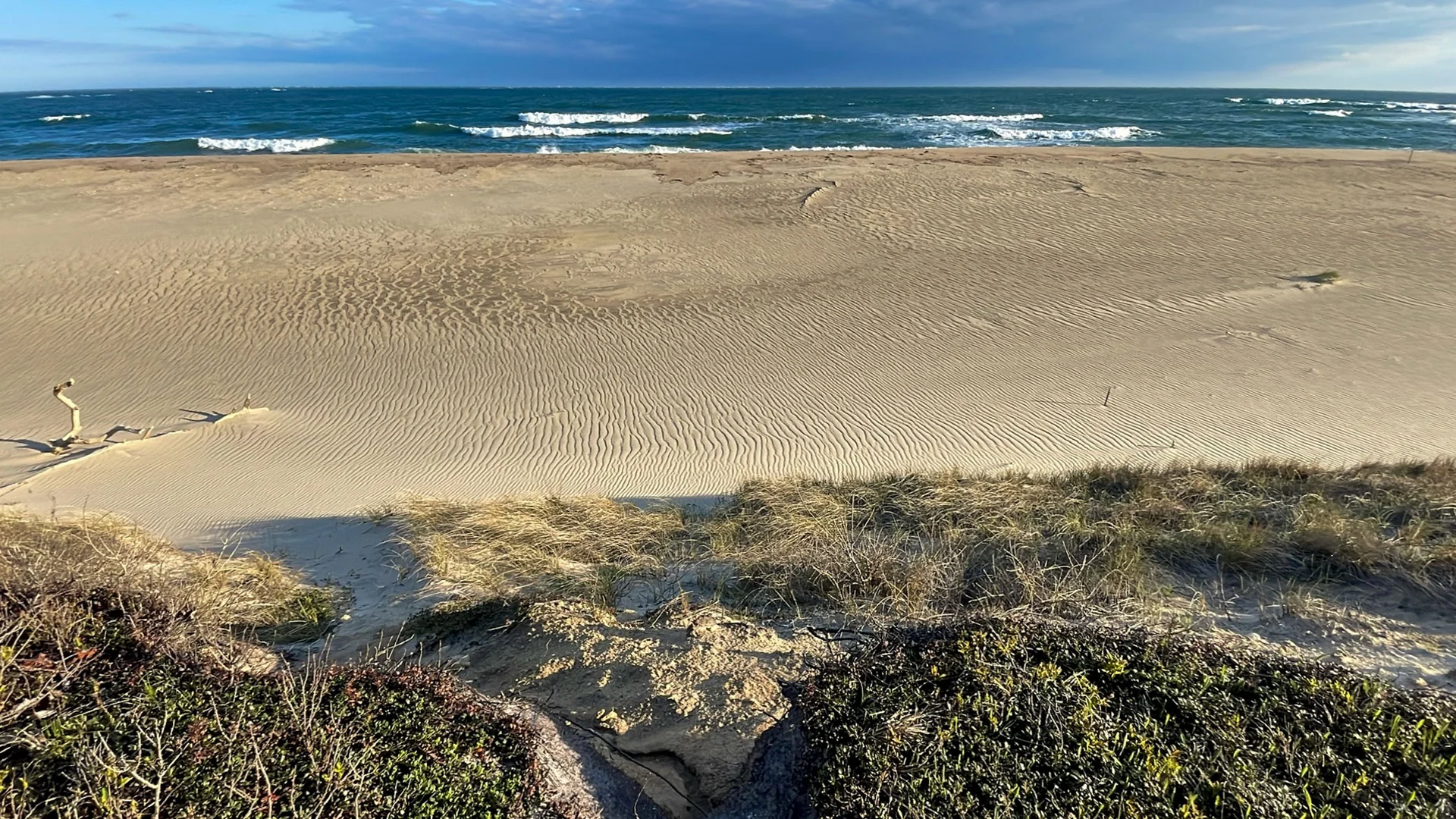 South Beach Edgartown