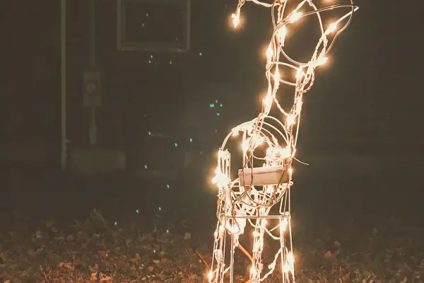 Lighted reindeer decoration glowing at night