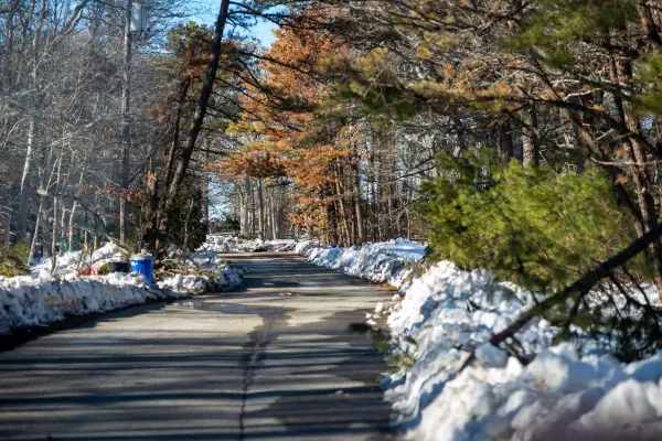 Snowbanks along a wooded island road after a February storm